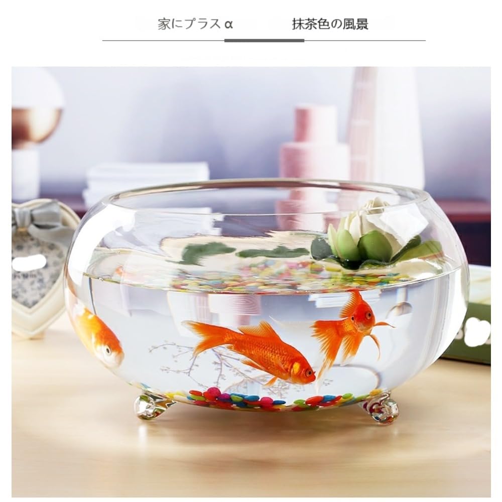 Amazon | 4 サイズ展開 3 足付き丸型ガラス水槽 透明厚手ガラス製 金魚